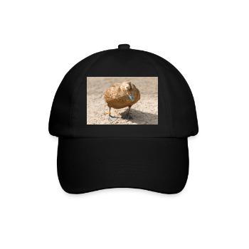 Eider Duck (Eiderente, Somateria mollissima) - Baseballkappe - Schwarz/Schwarz - Vorne