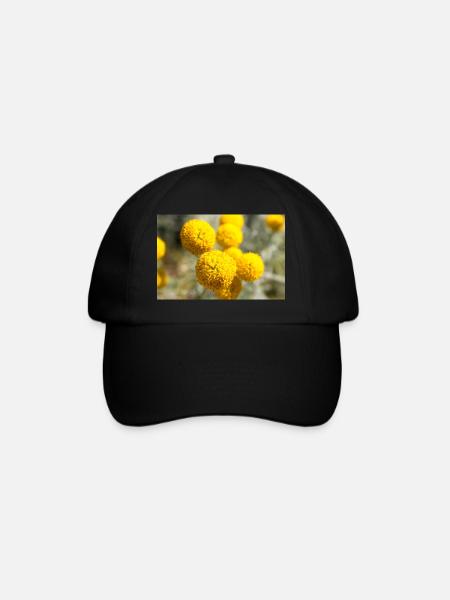 Lavendel katoen of grijs santolina heilig kruid - Baseballcap - zwart/zwart