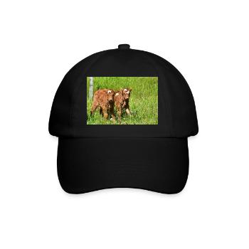 Calves on Eifel meadows - Baseball Cap - black/black - Front