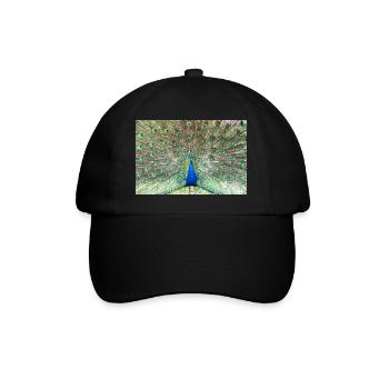 Peacock - Casquette classique - noir/noir - Devant