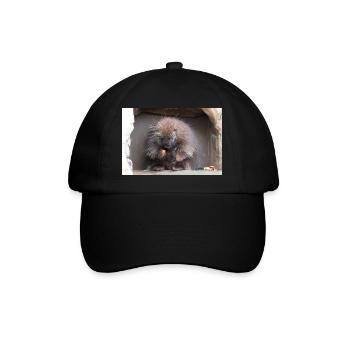 Tree-spined New World porcupines Erethizontidae - Baseball Cap - black/black - Front
