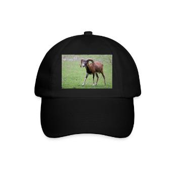 Mouflon européen Europäischer Mufflon - Casquette classique - noir/noir - Devant