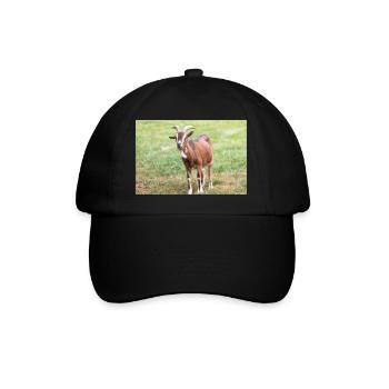 Goat (Ziege, Capra) brown and white - Baseball Cap - black/black - Front