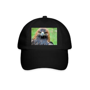 Vue d’aigle à la lumière du matin - Casquette classique - noir/noir - Devant