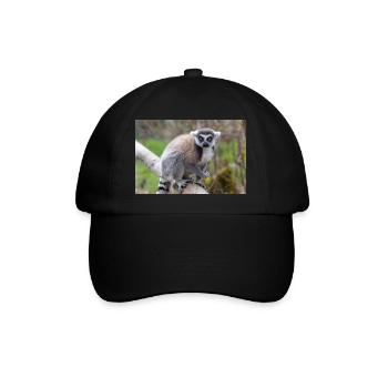 Lémurien à queue annelée (en allemand Katta) Lémurien catta - Casquette classique - noir/noir - Devant