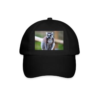 Lémurien à queue annelée (en allemand Katta) Lémurien catta - Casquette classique - noir/noir - Devant