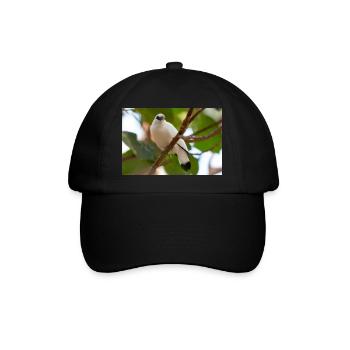 Étourneau de Bali Balistar Bali-Mynah, Leucopsar - Casquette classique - noir/noir - Devant