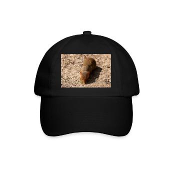 dwarf mongoose (in german Zwergmangusten) Helogale - Baseball Cap - black/black - Front