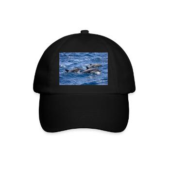 Dauphins - Casquette classique - noir/noir - Devant