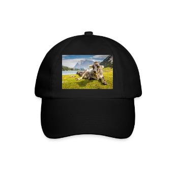 Vaches au lac Sebensee - Casquette classique - noir/noir - Devant