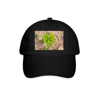 blooming colorful Wolfsmilch (Euphorbia) flower - Baseball Cap - black/black - Front