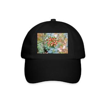 blooming colorful Wolfsmilch (Euphorbia) flower - Baseball Cap - black/black - Front