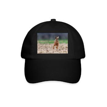 000 4886 - Baseball Cap - black/black - Front