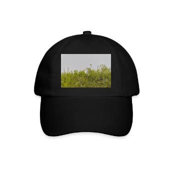 000 0686 Nik NikDxO - Baseball Cap - black/black - Front