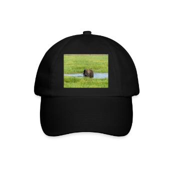 Landscape in Chobe National Park on Sedudu - Baseball Cap - black/black - Front