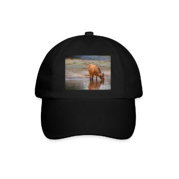 Landscape at the Cubango river with Cape buffalo - Baseball Cap - black/black - Front
