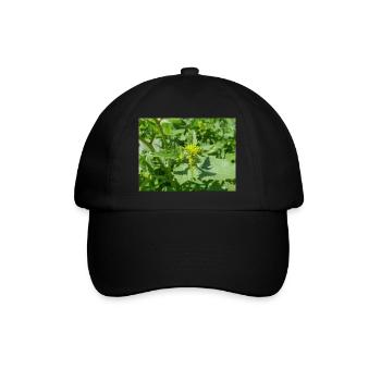 black mustard (in german Schwarzer Senf) Rhamphosp - Baseball Cap - black/black - Front
