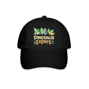 Dinosaurierliebhaber Dinosaurierexperte - Baseballkappe - Schwarz/Schwarz - Vorne