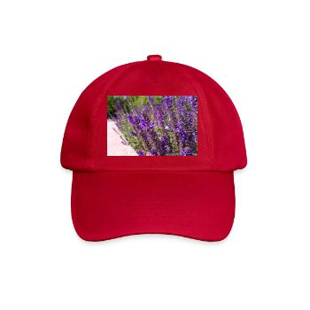 Vibrant Purple Salvia Flowers - Baseballkappe - klassisch Rot - Vorne