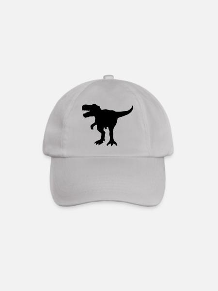 Dinosaurier Geschenk - Baseballkappe - Grau