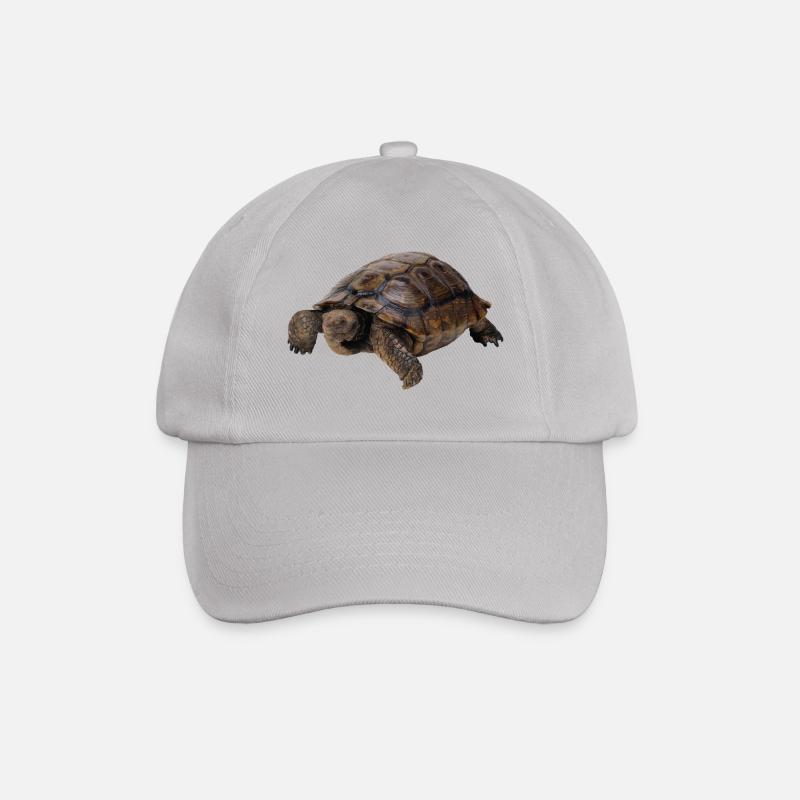 turtle tortoise animals animals8 - Baseball Cap - grey