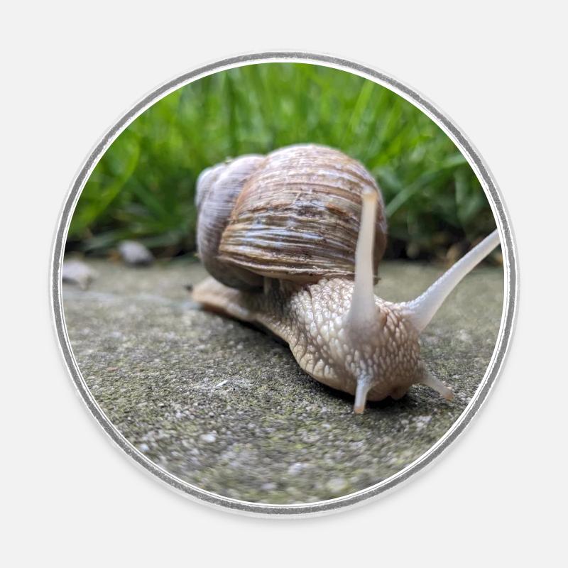 Snails Macro Natural Design - Round  fridge magnet - white