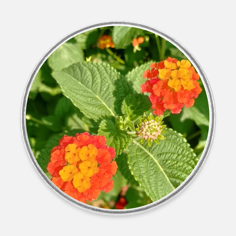 Jardin fleuri – Atmosphère colorée - Magnet rond - blanc
