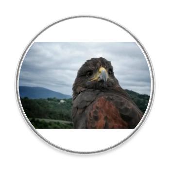 Aigle royal sur paysage montagneux - Magnet rond - blanc - Devant