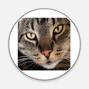 Cat kitten funny animals gift' Sticker | Spreadshirt