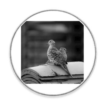 Vögel - Runder Kühlschrankmagnet - Weiß - Vorne