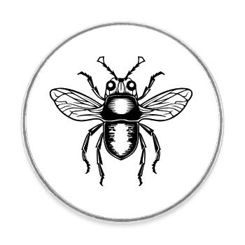 Insekten Krabbeltiere Arthropoden - Runder Kühlschrankmagnet - Weiß - Vorne