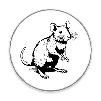 Ratte Maus Nagetier Ratten - Runder Kühlschrankmagnet - Weiß - Vorne