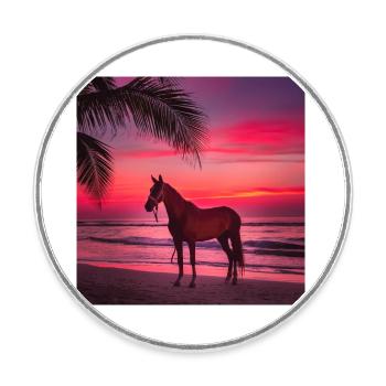 Art du cheval - Magnet rond - blanc - Devant