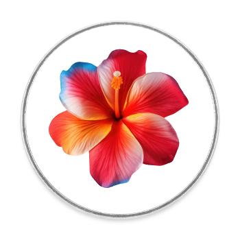 Hibiskus Hawaii Blume - Runder Kühlschrankmagnet - Weiß - Vorne
