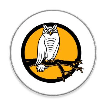 hibou aigle hibou branche arbre forêt lune nuit pleine lune ronde - Magnet rond - blanc - Devant