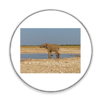 elephant and Landscape in a Etosha National Park - Round  fridge magnet - white - Front
