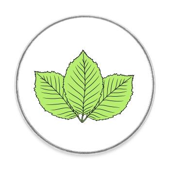 3 blaetter buche blatt baum pflanze form clipart d - Runder Kühlschrankmagnet - Weiß - Vorne