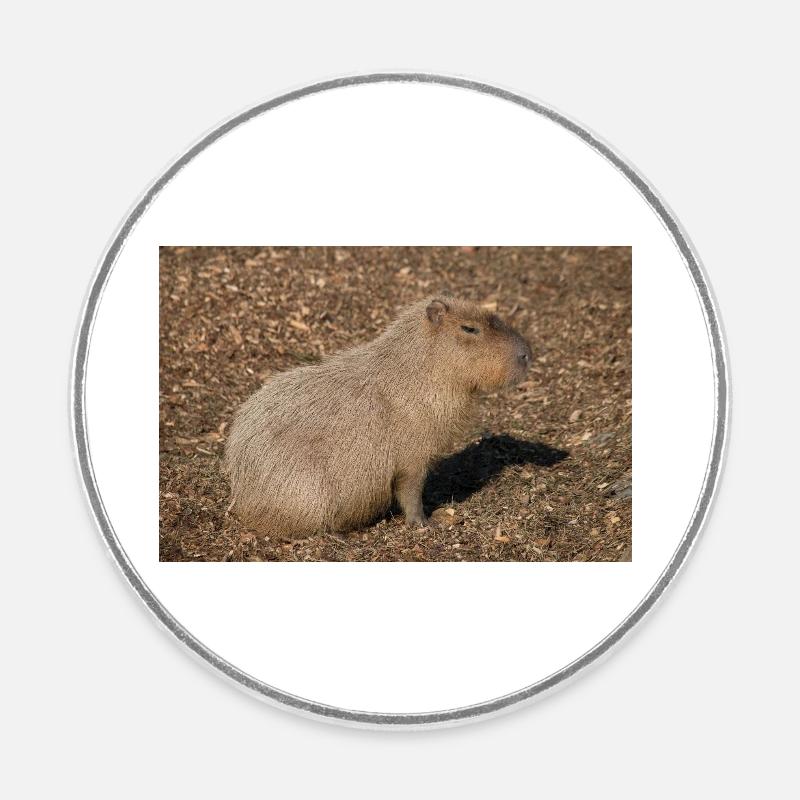 Capybara capybara (Hydrochoerus hydrochaeris) - Magnet rond - blanc