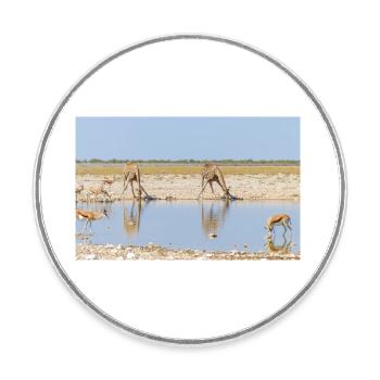 giraffe and Landscape in a Etosha National Park - Round  fridge magnet - white - Front
