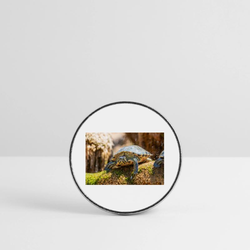 Trachemys scripta scripta scripta Magnet rond