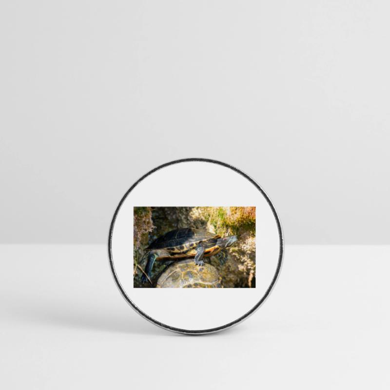 Trachemys scripta scripta scripta Magnet rond
