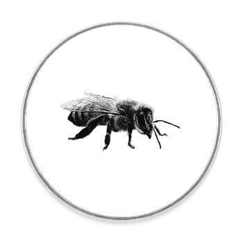 Abeille - Magnet rond - blanc - Devant