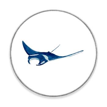 Manta ray var2 - Round  fridge magnet - white - Front