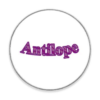 Antilope - Runder Kühlschrankmagnet - Weiß - Vorne