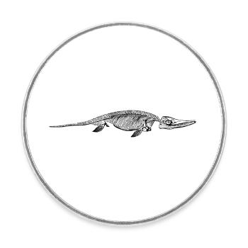 dino 270 - Runder Kühlschrankmagnet - Weiß - Vorne