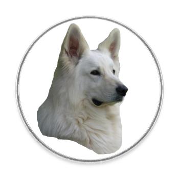 Tête de berger blanc - Magnet rond - blanc - Devant