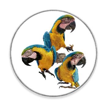 The blue and yellow macaw - Round  fridge magnet - white - Front