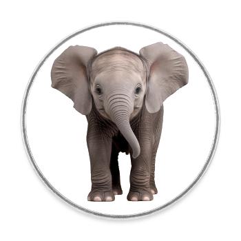 Baby Elephant Elefant - Runder Kühlschrankmagnet - Weiß - Vorne