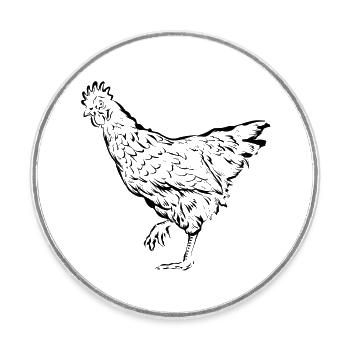 Poules poules - Magnet rond - blanc - Devant