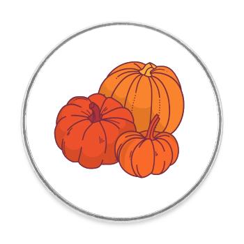 Cartoon Style Pumpkins - Round  fridge magnet - white - Front